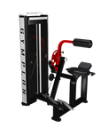 Back extension - 4 serie
