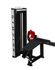 Laying leg curl - 4 serie