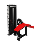 Laying leg curl - 4 serie