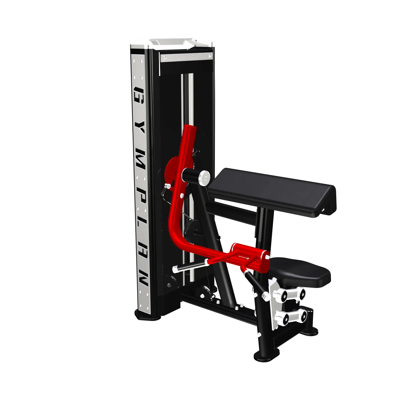 Biceps curl - 4 serie