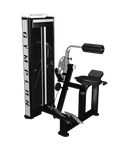 Back extension - 4 serie