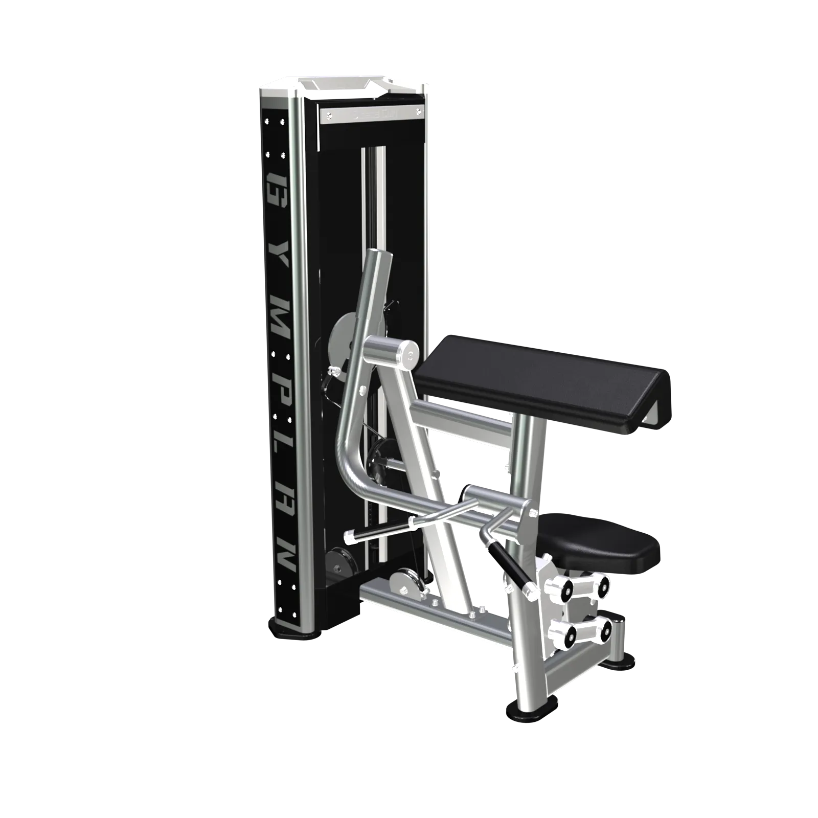 Biceps curl - 4 serie